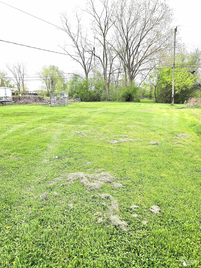 view of yard
