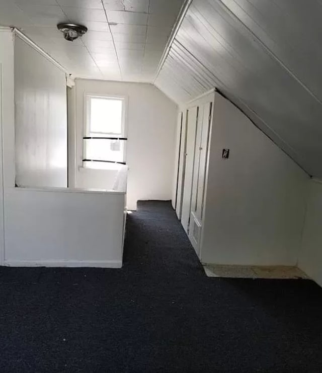 additional living space with dark colored carpet and lofted ceiling
