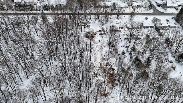 2395 Dunnigan Ave NE Unit C, Grand Rapids, MI 49525 - view of snowy aerial view