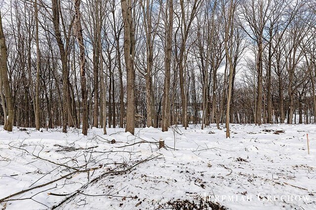 2395 Dunnigan Ave NE Unit C, Grand Rapids, MI 49525 - view of snow covered land