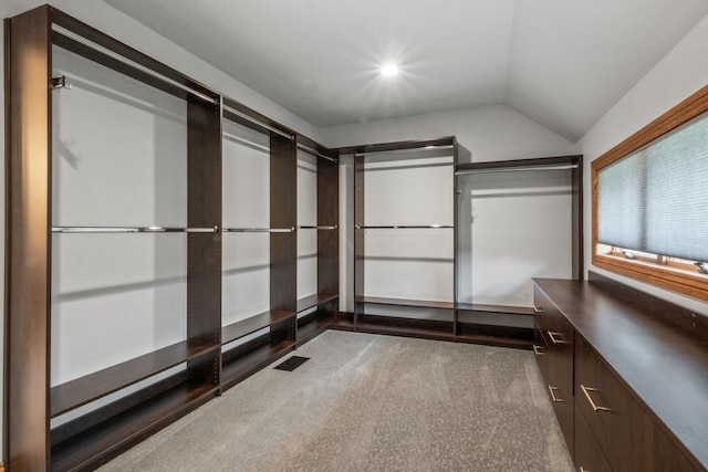 3101 Delano Rd, Oxford, MI 48371 - walk in closet featuring lofted ceiling and carpet flooring