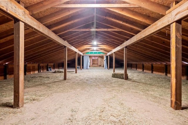 3101 Delano Rd, Oxford, MI 48371 - view of attic