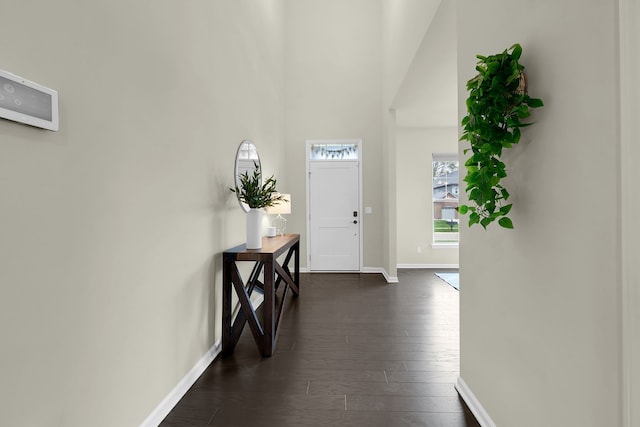 43547 Bolingbrooke Ln, Novi, MI 48377 - foyer entrance with baseboards, dark wood finished floors, and a high ceiling