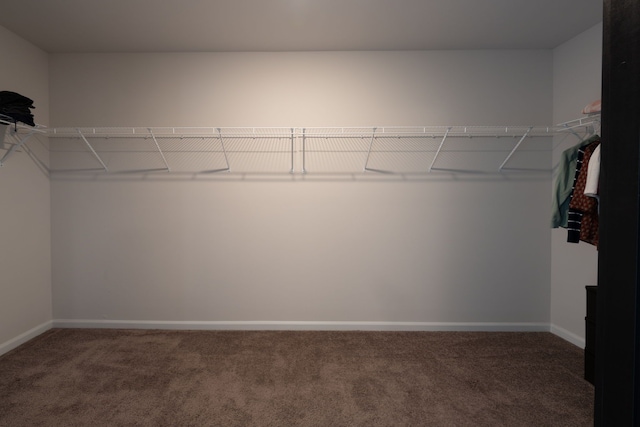 43547 Bolingbrooke Ln, Novi, MI 48377 - spacious closet with carpet floors
