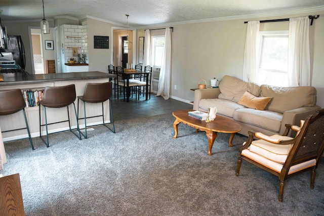 11005 Elm Ave, Howard City, MI 49329 - living area with healthy amount of natural light, ornamental molding, baseboards, a textured ceiling, and vaulted ceiling
