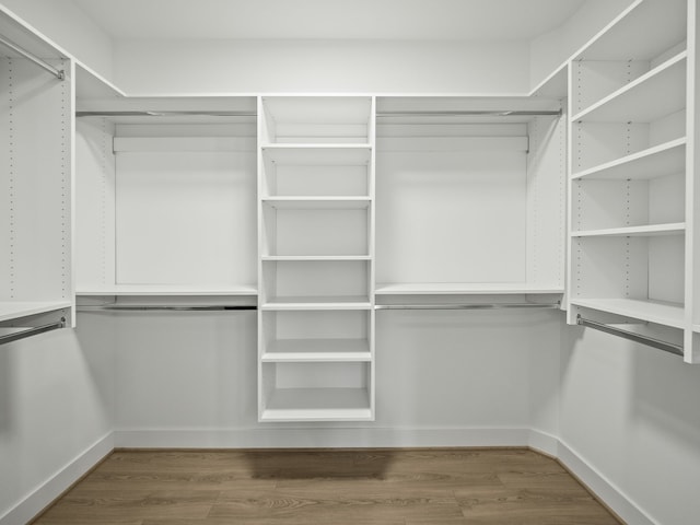 spacious closet featuring wood finished floors