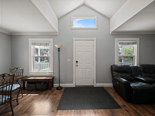 entryway featuring baseboards, high vaulted ceiling, and dark wood finished floors