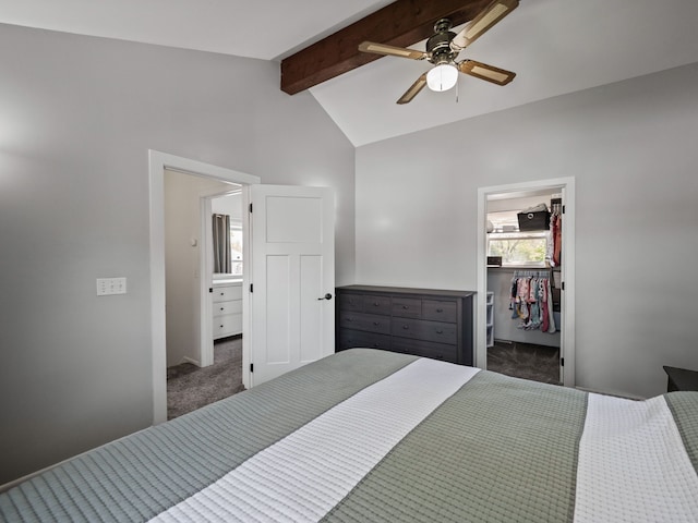 carpeted bedroom with ceiling fan, a spacious closet, lofted ceiling with beams, and a closet