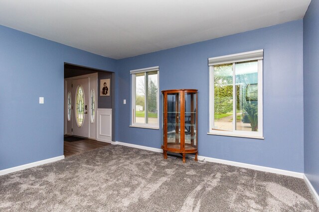empty room with carpet, baseboards, and a wealth of natural light