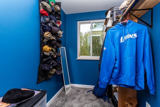 walk in closet with carpet flooring