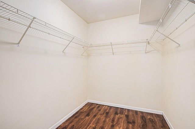 spacious closet featuring dark wood-style floors