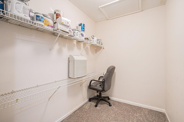 walk in closet with attic access and carpet