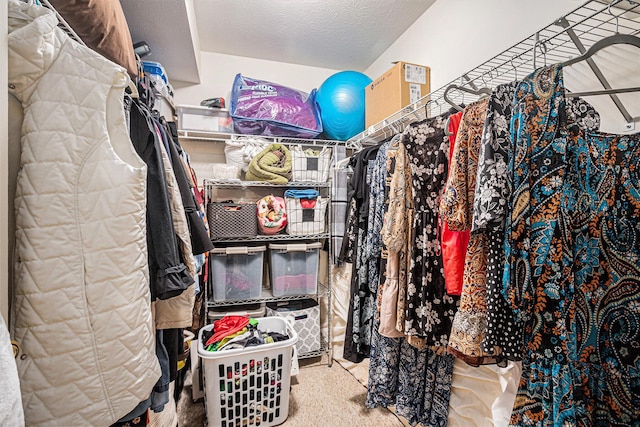 spacious closet with carpet