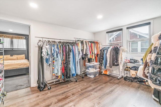 walk in closet featuring wood finished floors
