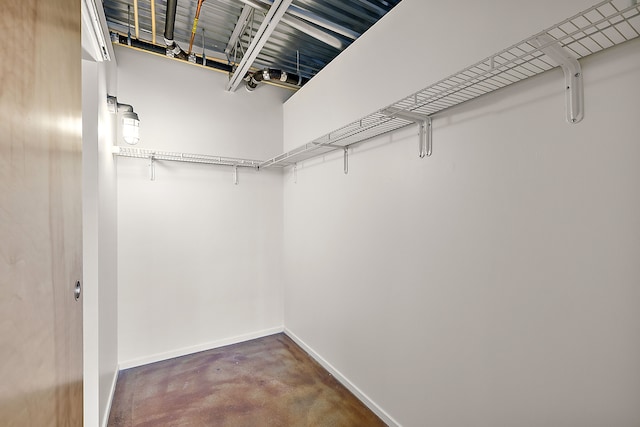 view of spacious closet