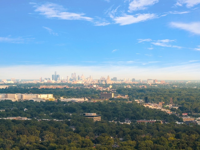 property's view of city with a wooded view