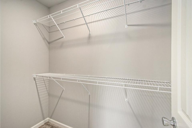 view of walk in closet