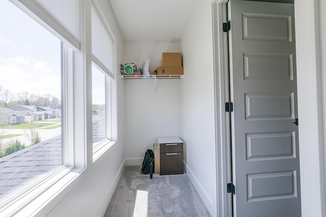 spacious closet with carpet floors