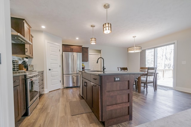 kitchen featuring under cabinet range hood, light wood-type flooring, stainless steel appliances, and a sink