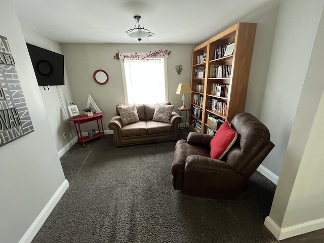 sitting room with baseboards and carpet floors