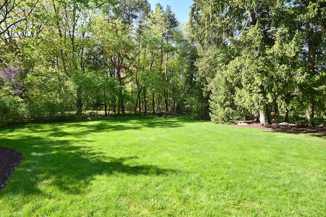 1256 Lenhill Ct, Bloomfield Hills, MI 48304 - view of green lawn