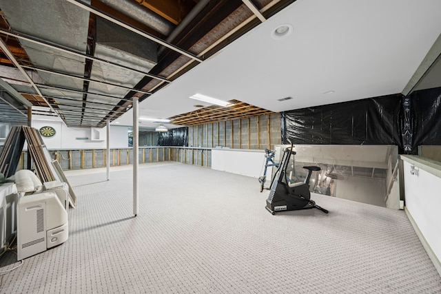 unfinished below grade area with carpet floors