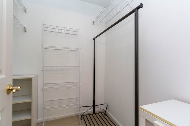 view of spacious closet
