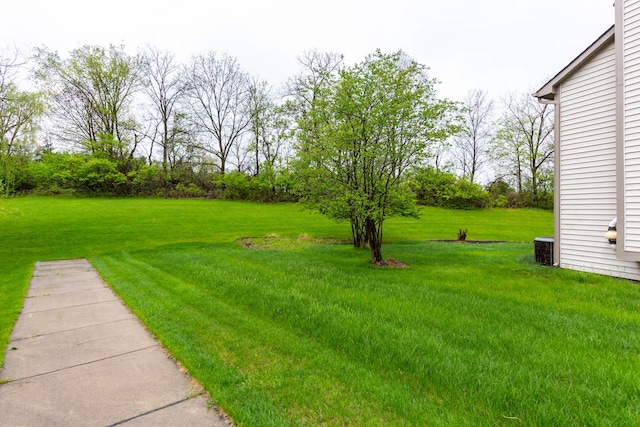 view of green lawn
