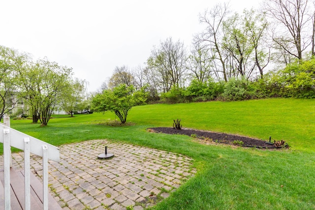 view of green lawn