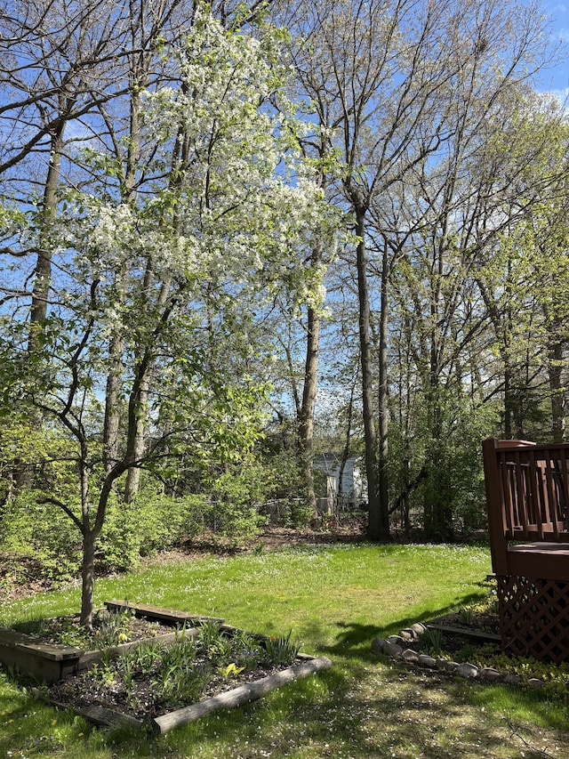 view of grassy yard with a wooden deck
