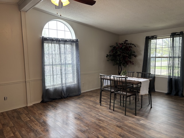 dining area featuring wood finished floors, a ceiling fan, ornamental molding, a textured ceiling, and baseboards