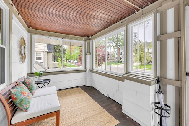 sunroom with track lighting