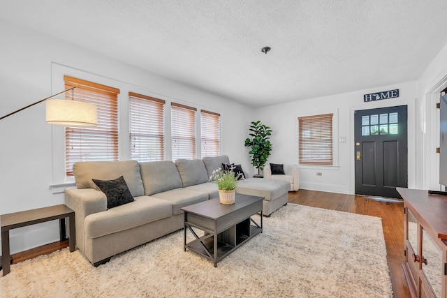 living room featuring baseboards, a textured ceiling, and wood finished floors