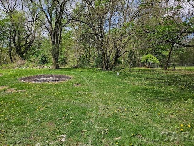 4084 Seneca St, Weston, MI 49289 - view of yard
