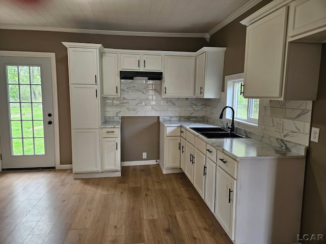 4084 Seneca St, Weston, MI 49289 - kitchen with white cabinetry, decorative backsplash, wood-type flooring, and a sink
