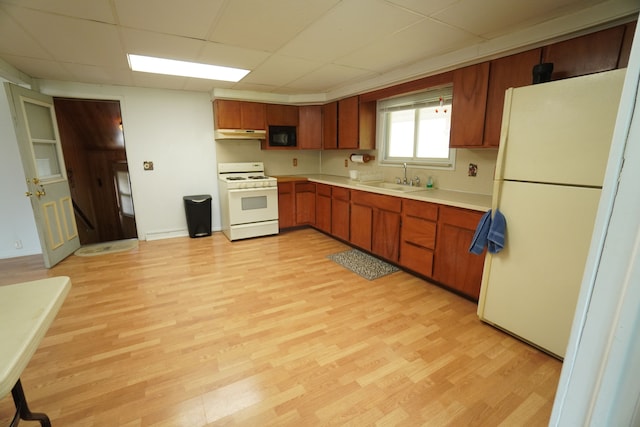 kitchen with a sink, white appliances, under cabinet range hood, light countertops, and light wood-style floors