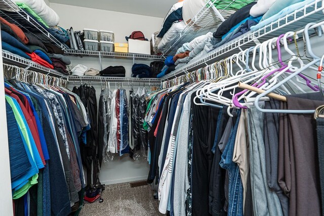 spacious closet featuring carpet flooring