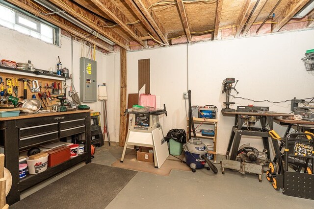 basement featuring a workshop area and electric panel
