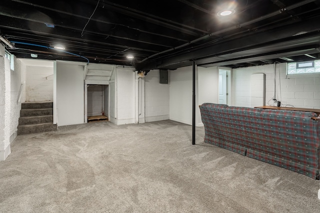 below grade area with stairs, carpet floors, and electric panel