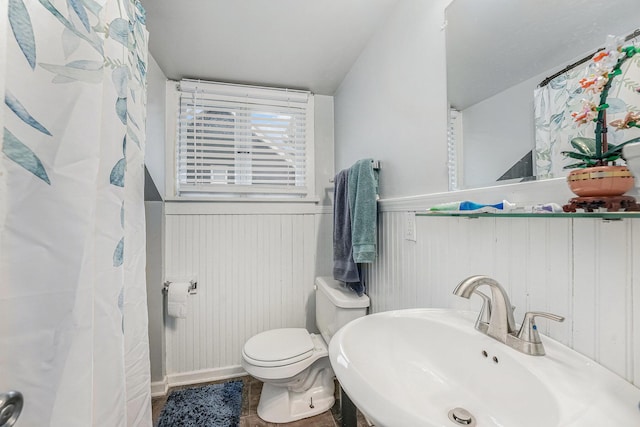 full bathroom featuring toilet, wainscoting, and a sink