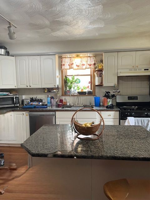 kitchen featuring appliances with stainless steel finishes, under cabinet range hood, a sink, dark stone countertops, and decorative backsplash