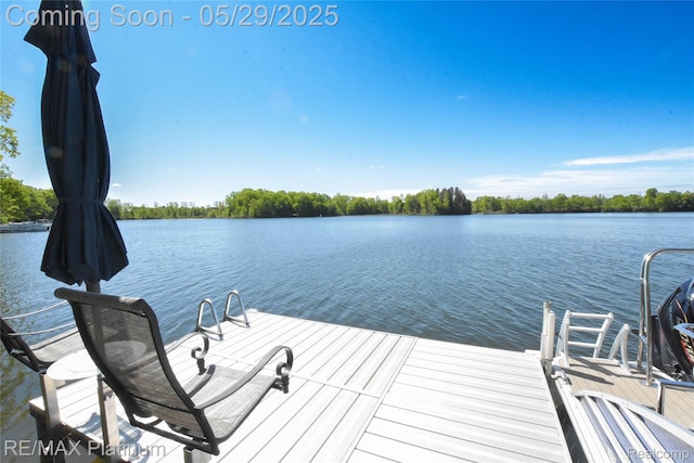 841 Hurley Dr, Howell, MI 48843 - dock area with a water view
