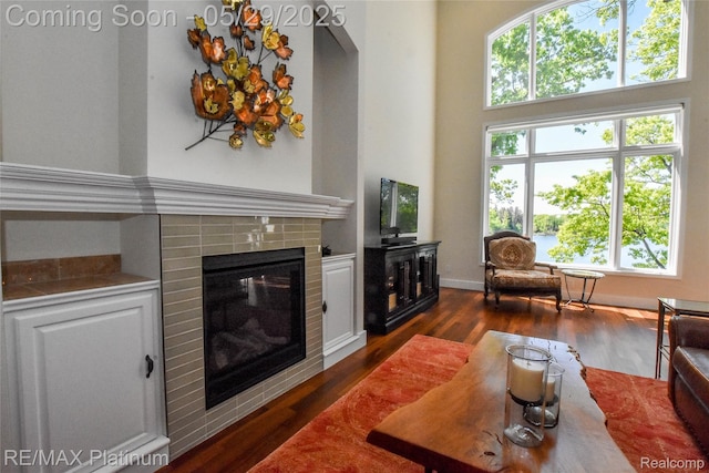 841 Hurley Dr, Howell, MI 48843 - living room featuring dark wood-style floors, healthy amount of natural light, a fireplace, and a towering ceiling