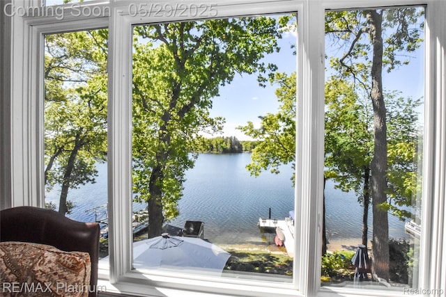 841 Hurley Dr, Howell, MI 48843 - water view