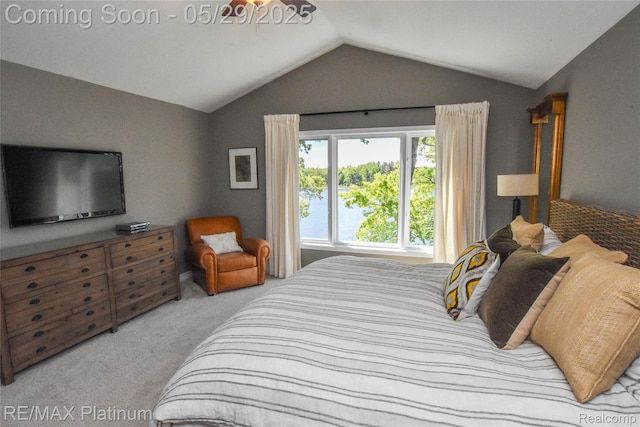 841 Hurley Dr, Howell, MI 48843 - carpeted bedroom with lofted ceiling