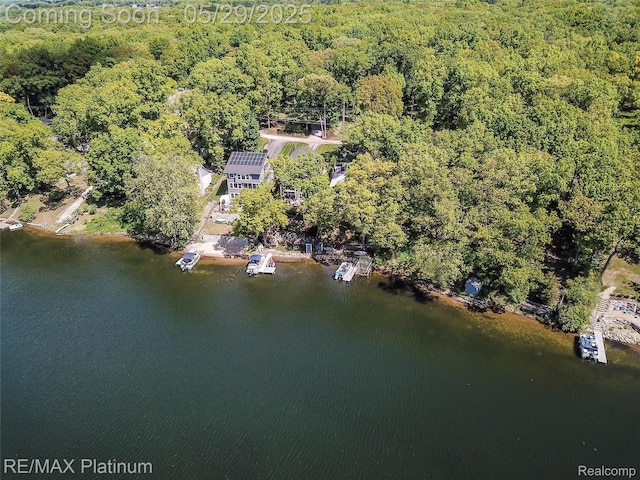 841 Hurley Dr, Howell, MI 48843 - aerial view of property and surrounding area featuring a heavily wooded area and a large body of water