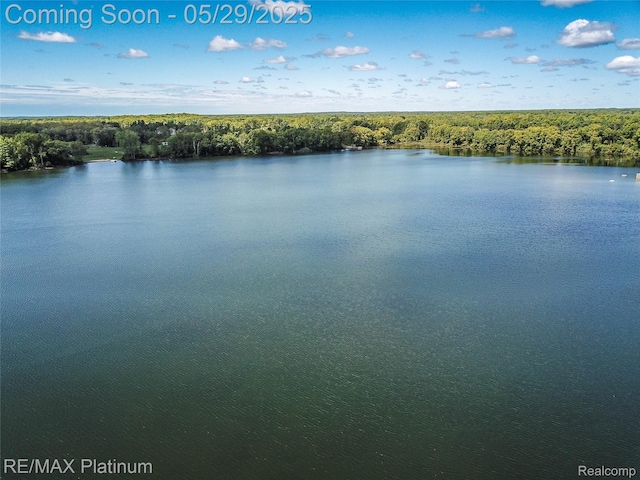 841 Hurley Dr, Howell, MI 48843 - water view featuring a forest