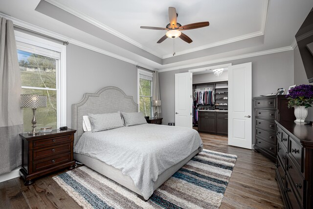 bedroom featuring a raised ceiling, ornamental molding, ceiling fan, and dark wood-style flooring
