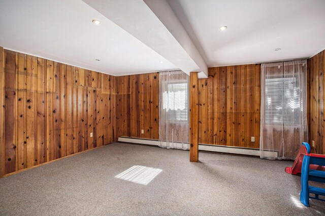 basement with carpet and wood walls