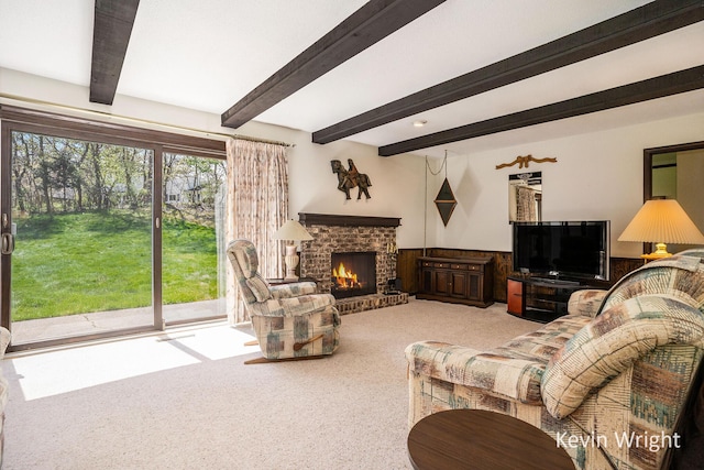living area featuring beamed ceiling, a brick fireplace, wainscoting, and carpet